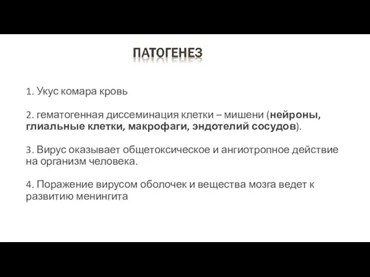 1. Укус комара кровь 2. гематогенная диссеминация клетки – мишени