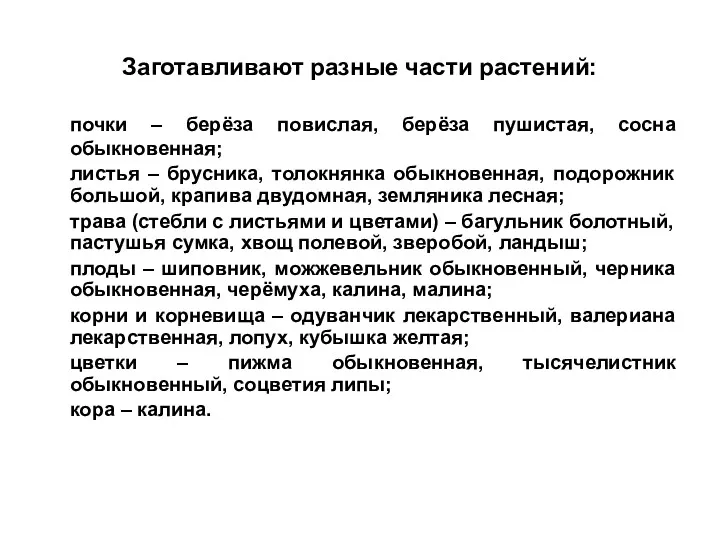 Заготавливают разные части растений: почки – берёза повислая, берёза пушистая,