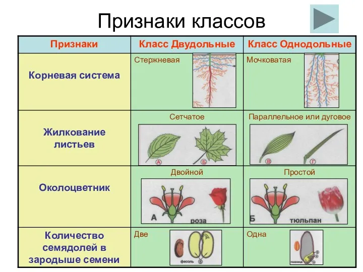 Признаки классов