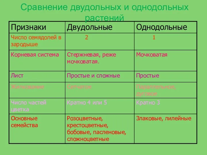 Сравнение двудольных и однодольных растений