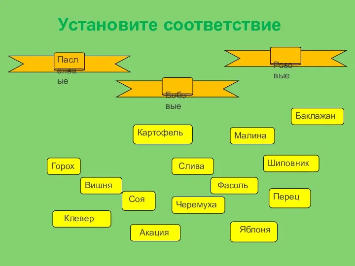 Фасоль Вишня Картофель Горох Баклажан Черемуха Слива Яблоня Перец Шиповник