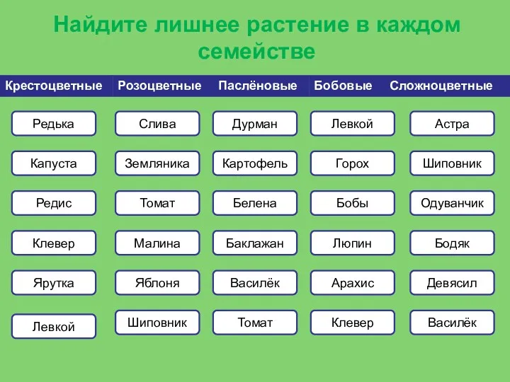 Найдите лишнее растение в каждом семействе Редька Капуста Редис Ярутка