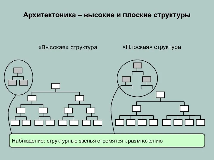 Архитектоника – высокие и плоские структуры «Высокая» структура «Плоская» структура Наблюдение: структурные звенья стремятся к размножению