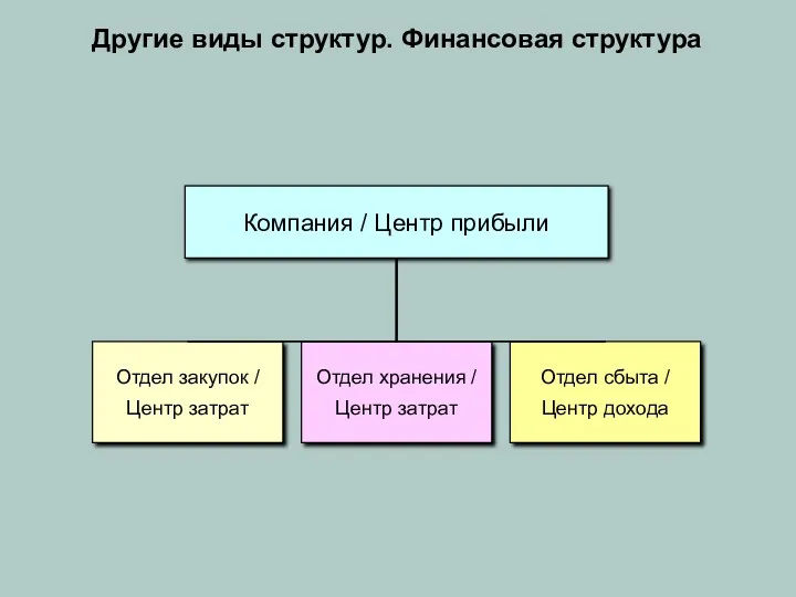 Другие виды структур. Финансовая структура Компания / Центр прибыли Отдел