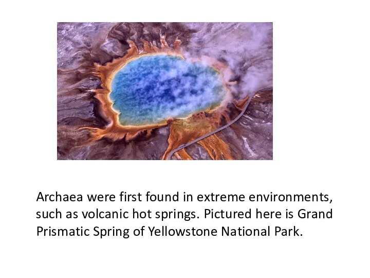 Archaea were first found in extreme environments, such as volcanic