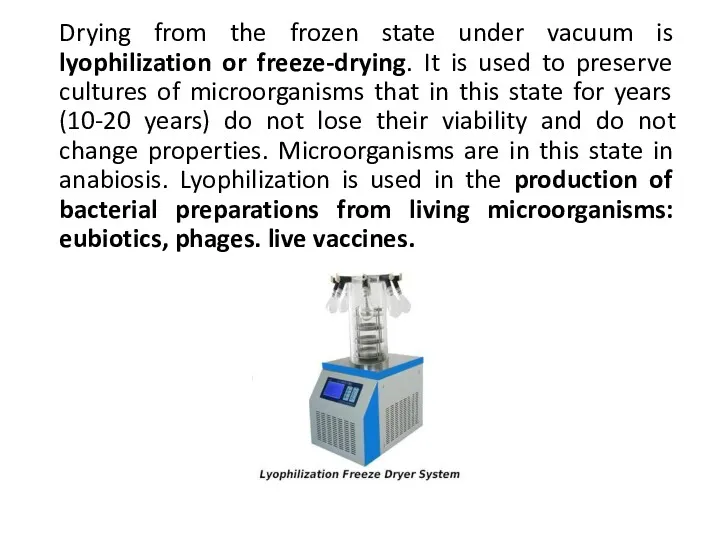 Drying from the frozen state under vacuum is lyophilization or
