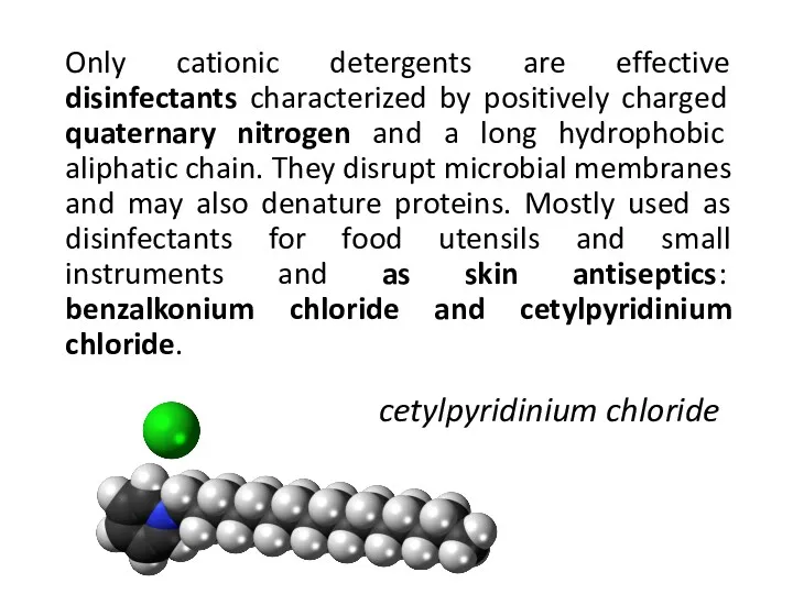 Only cationic detergents are effective disinfectants characterized by positively charged