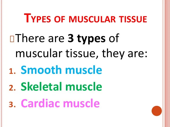 Types of muscular tissue There are 3 types of muscular