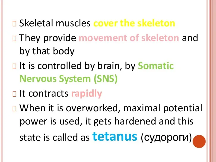 Skeletal muscles cover the skeleton They provide movement of skeleton