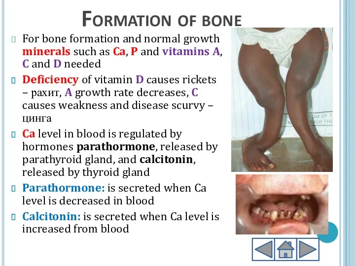 Formation of bone For bone formation and normal growth minerals