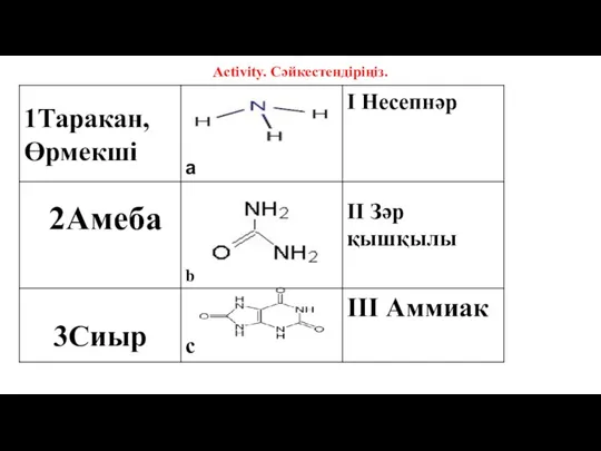 Activity. Cәйкестендіріңіз.