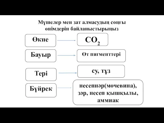 Бүйрек Тері СО2 Өт пигменттері Өкпе су, тұз Бауыр Мүшелер