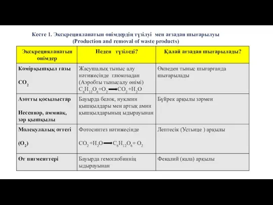 Кесте 1. Экскрецияланатын өнімдердің түзілуі мен ағзадан шығарылуы (Production and removal of waste products)