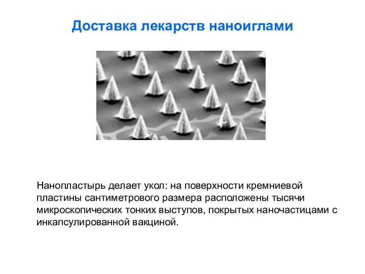 Доставка лекарств наноиглами Нанопластырь делает укол: на поверхности кремниевой пластины сантиметрового размера расположены