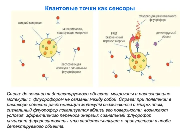 Квантовые точки как сенсоры Слева: до появления детектируемого объекта микрочипы