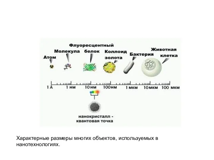 Характерные размеры многих объектов, используемых в нанотехнологиях.