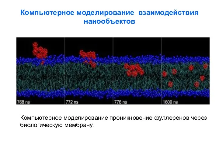 Компьютерное моделирование взаимодействия нанообъектов Компьютерное моделирование проникновение фуллеренов через биологическую мембрану.