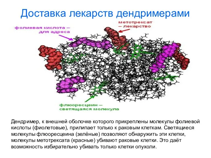 Доставка лекарств дендримерами Дендример, к внешней оболочке которого прикреплены молекулы