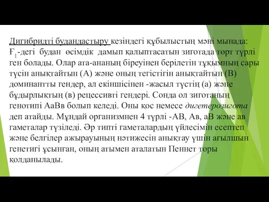 Дигибридті будандастыру кезіндегі құбылыстың мәні мынада: Ғ1-дегі будан өсімдік дамып