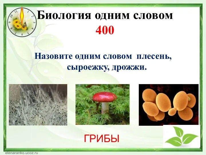 Биология одним словом 400 Назовите одним словом плесень, сыроежку, дрожжи. ГРИБЫ