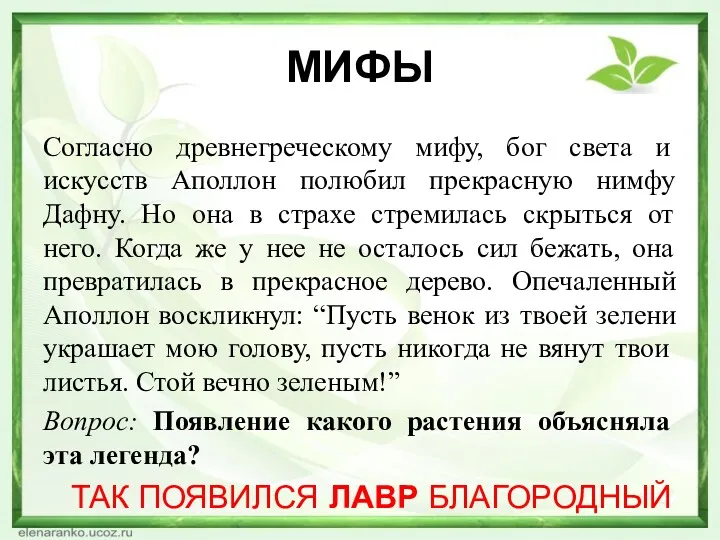 МИФЫ Согласно древнегреческому мифу, бог света и искусств Аполлон полюбил