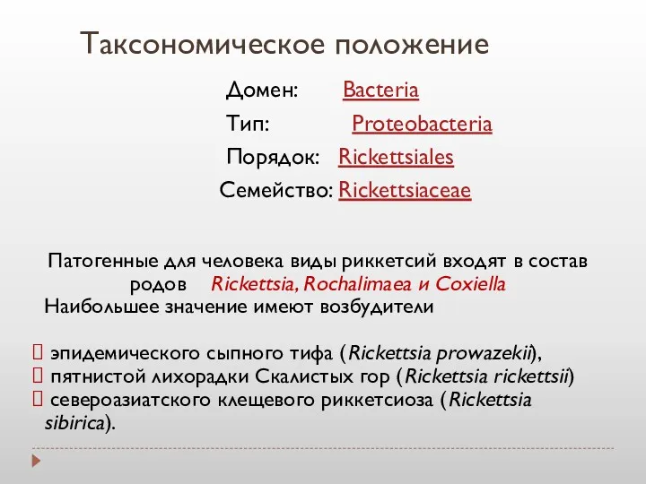 Домен: Bacteria Тип: Proteobacteria Порядок: Rickettsiales Семейство: Rickettsiaceae Таксономическое положение