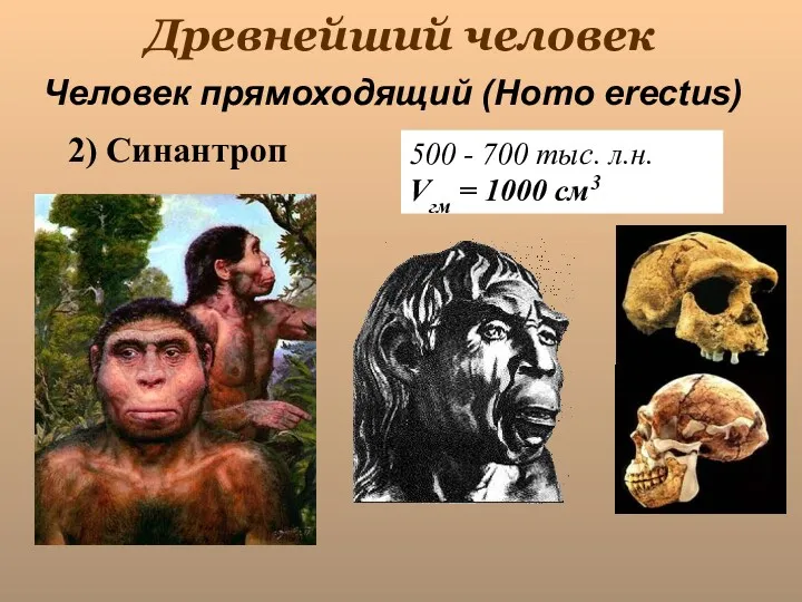 Древнейший человек 500 - 700 тыс. л.н. Vгм = 1000