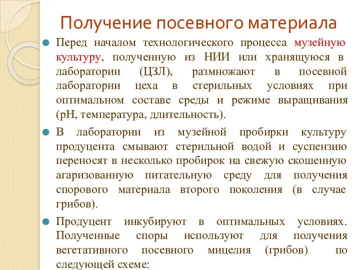 Получение посевного материала Перед началом технологического процесса музейную культуру, полученную