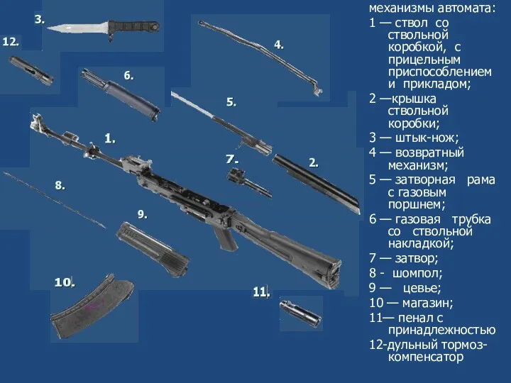 механизмы автомата: 1 — ствол со ствольной коробкой, с прицельным