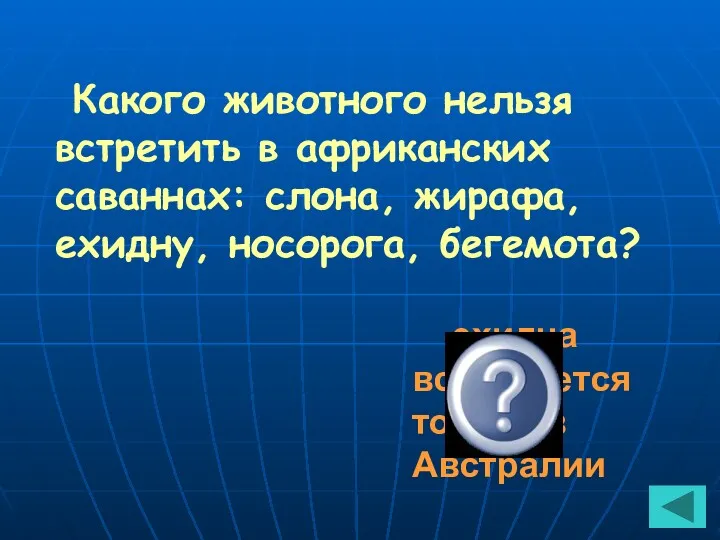 Какого животного нельзя встретить в африканских саваннах: слона, жирафа, ехидну,