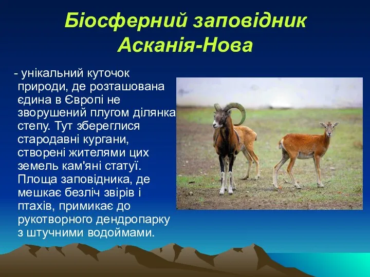 Біосферний заповідник Асканія-Нова - унікальний куточок природи, де розташована єдина в Європі не