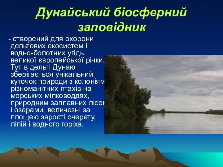 Дунайський біосферний заповідник - створений для охорони дельтових екосистем і водно-болотних угідь великої