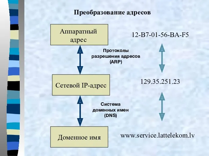 Преобразование адресов Аппаратный адрес Сетевой IP-адрес Доменное имя Протоколы разрешения