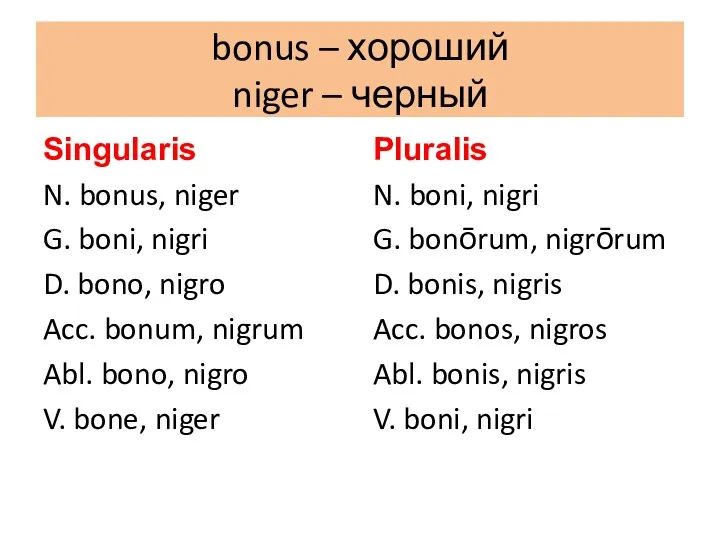 bonus – хороший niger – черный Singularis N. bonus, niger