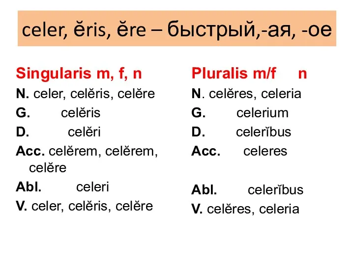 celer, ĕris, ĕre – быстрый,-ая, -ое Singularis m, f, n