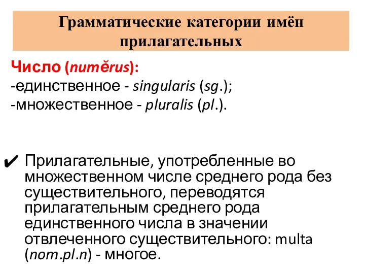 Грамматические категории имён прилагательных Число (numĕrus): -единственное - singularis (sg.);