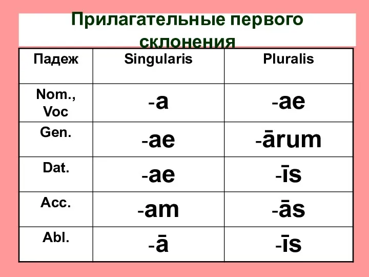 Прилагательные первого склонения