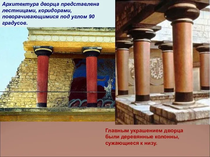 Главным украшением дворца были деревянные колонны, сужающиеся к низу. Архитектура