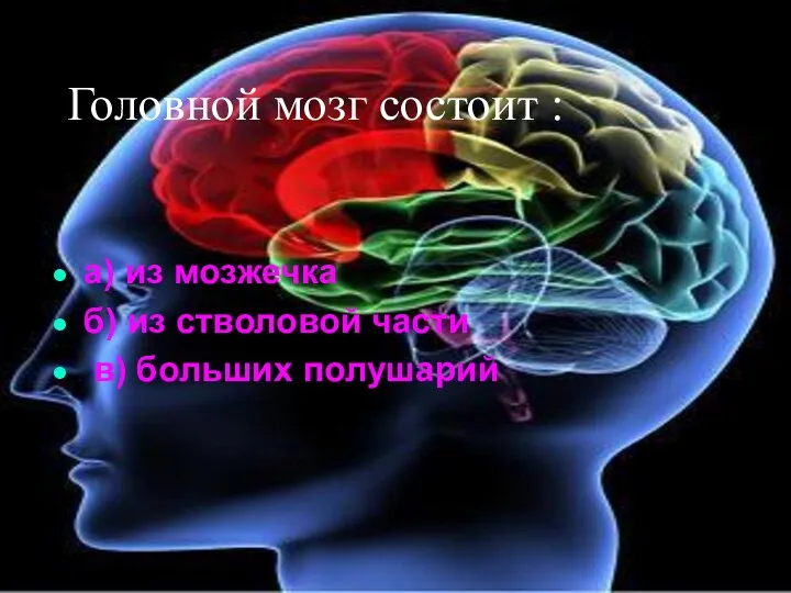 Головной мозг состоит : а) из мозжечка б) из стволовой части в) больших полушарий