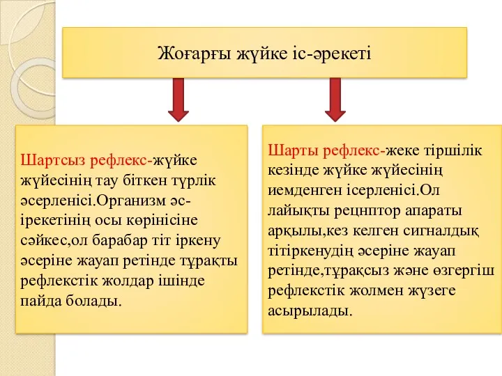 Жоғарғы жүйке іс-әрекеті Шартсыз рефлекс-жүйке жүйесінің тау біткен түрлік әсерленісі.Организм