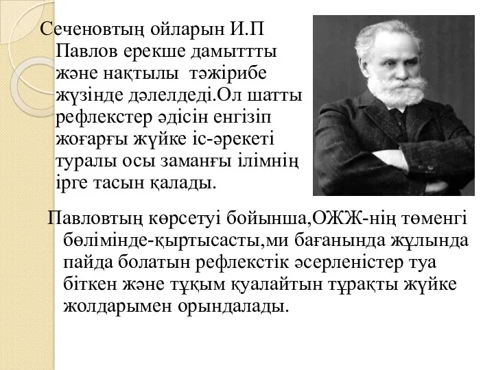 Сеченовтың ойларын И.П Павлов ерекше дамыттты және нақтылы тәжірибе жүзінде