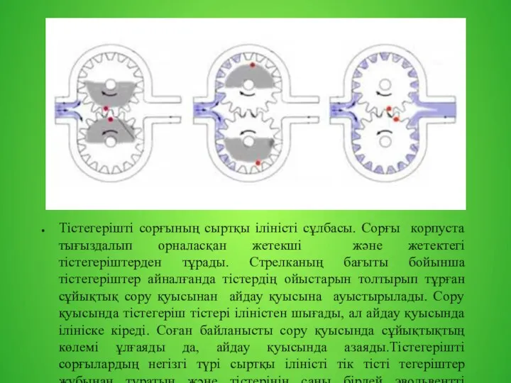 Тістегерішті сорғының сыртқы іліністі сұлбасы. Сорғы корпуста тығыздалып орналасқан жетекші