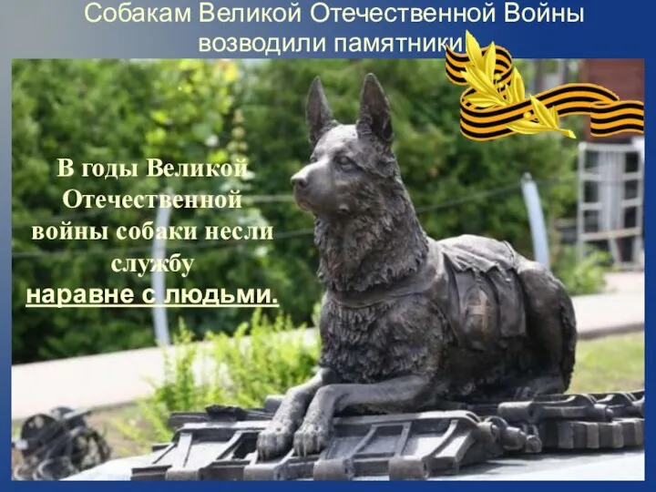 Собакам Великой Отечественной Войны возводили памятники. В годы Великой Отечественной