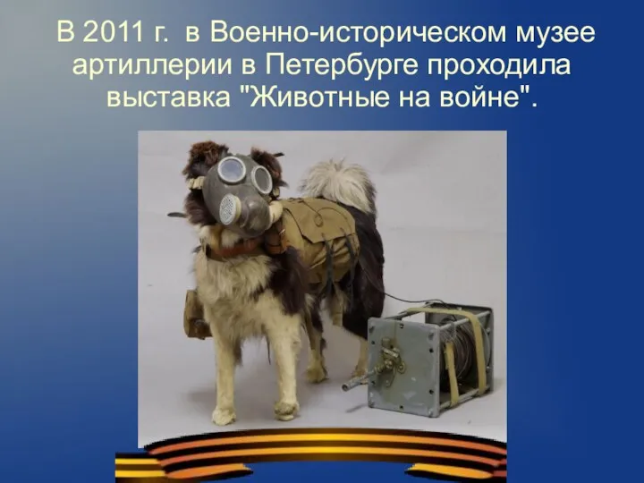 В 2011 г. в Военно-историческом музее артиллерии в Петербурге проходила выставка "Животные на войне".