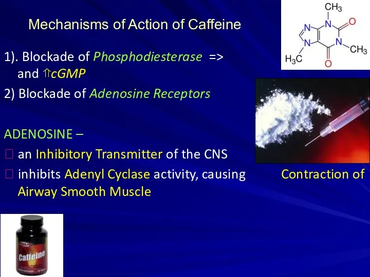 Mechanisms of Action of Caffeine 1). Blockade of Phosphodiesterase => ⇑ cAMP and