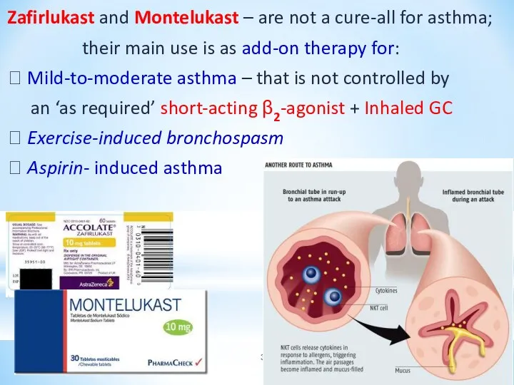 Zafirlukast and Montelukast – are not a cure-all for asthma; their main use