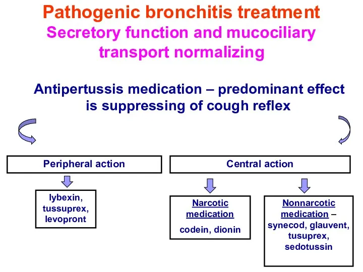 Pathogenic bronchitis treatment Secretory function and mucociliary transport normalizing Antipertussis