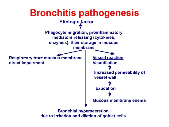 Bronchitis pathogenesis Etiologic factor Phagocyte migration, proinflammatory mediators releasing (cytokines,