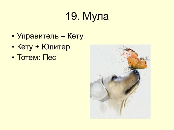 19. Мула Управитель – Кету Кету + Юпитер Тотем: Пес