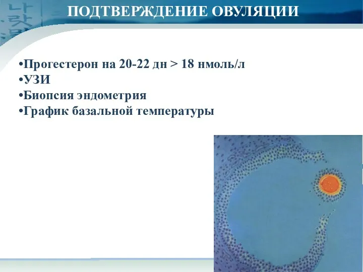 ПОДТВЕРЖДЕНИЕ ОВУЛЯЦИИ Прогестерон на 20-22 дн > 18 нмоль/л УЗИ Биопсия эндометрия График базальной температуры